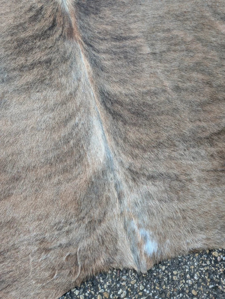 Large lovely cowhide rug with natural brown fur texture and subtle lighter streaks showcasing unique characteristics