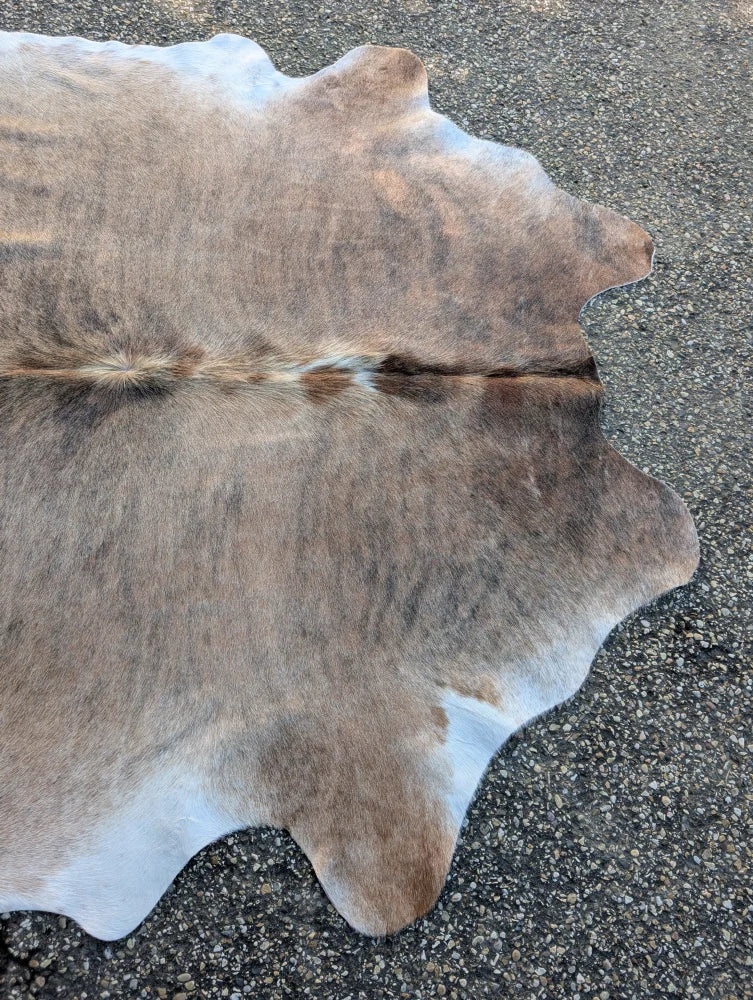 Brown and white large cowhide rug with natural irregular edges showing unique characteristics lovely cowhide rug
