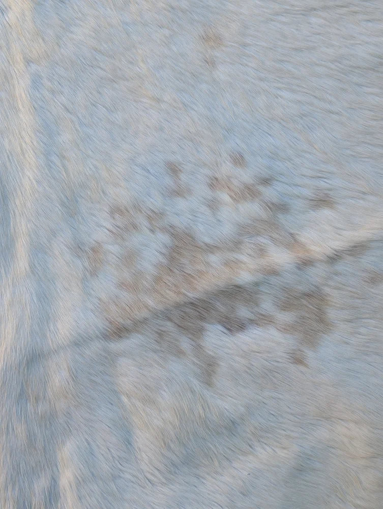 Large lovely cowhide rug with light blue and beige soft fur showcasing unique characteristics and texture