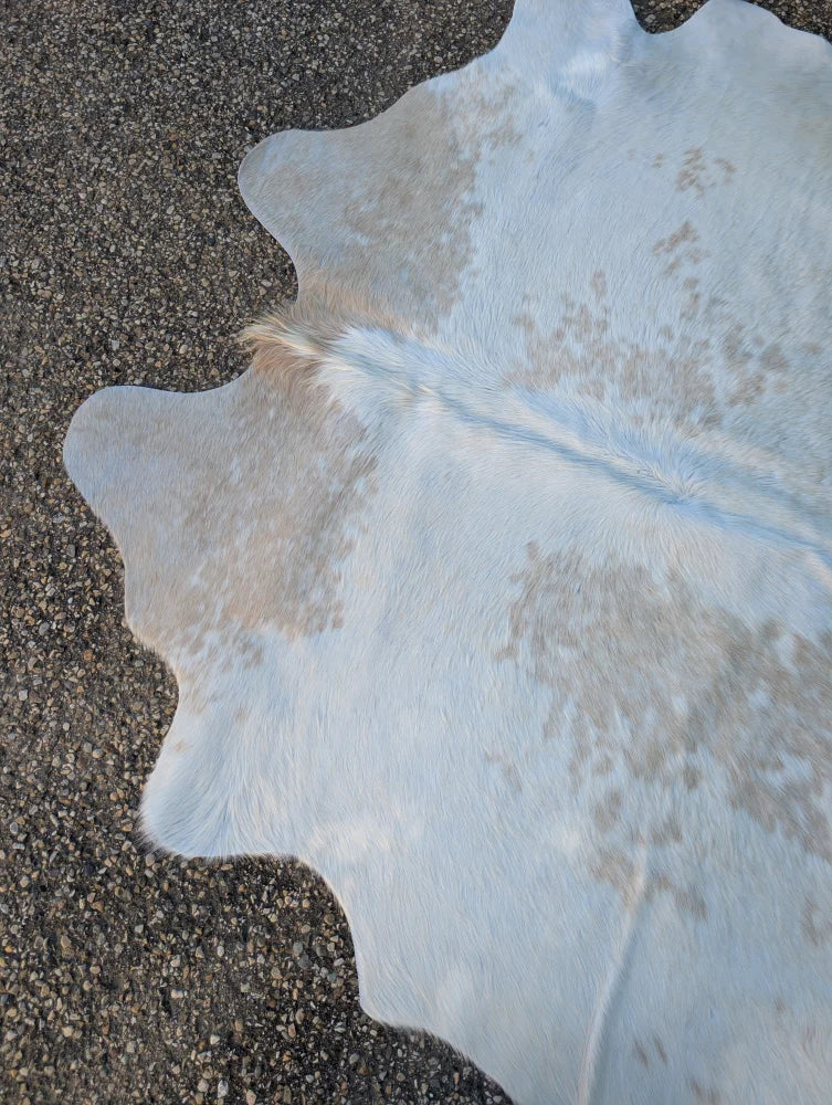 A large lovely cowhide rug in white and beige with natural fur texture showcasing unique characteristics