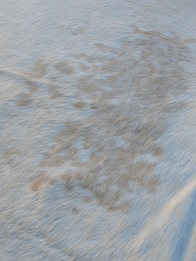 A lovely cowhide rug in light blue with unique brownish stains showcasing its large cowhide texture