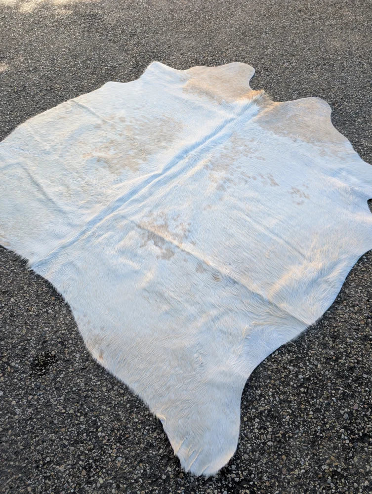 Large lovely cowhide rug in light blue and white with natural fur texture showing unique characteristics