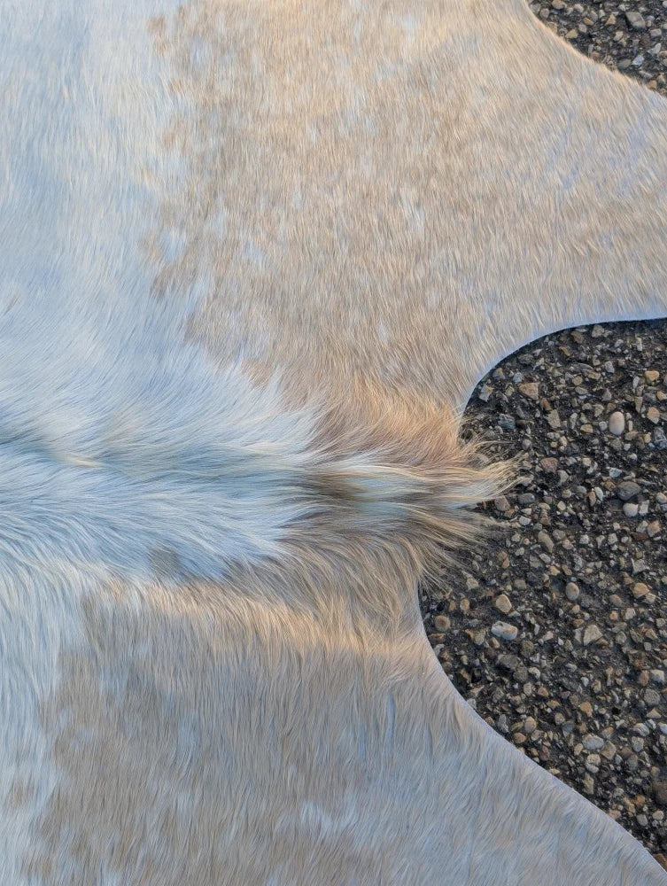 A large cowhide rug featuring soft natural tones of light beige and creamy white with unique characteristics