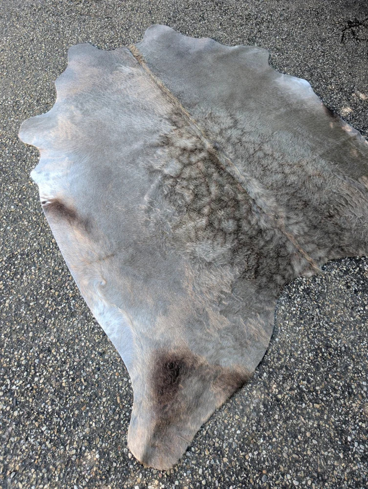 Large gray cowhide rug with soft textured surface and irregular edges featuring unique characteristics in lovely cowhide rug