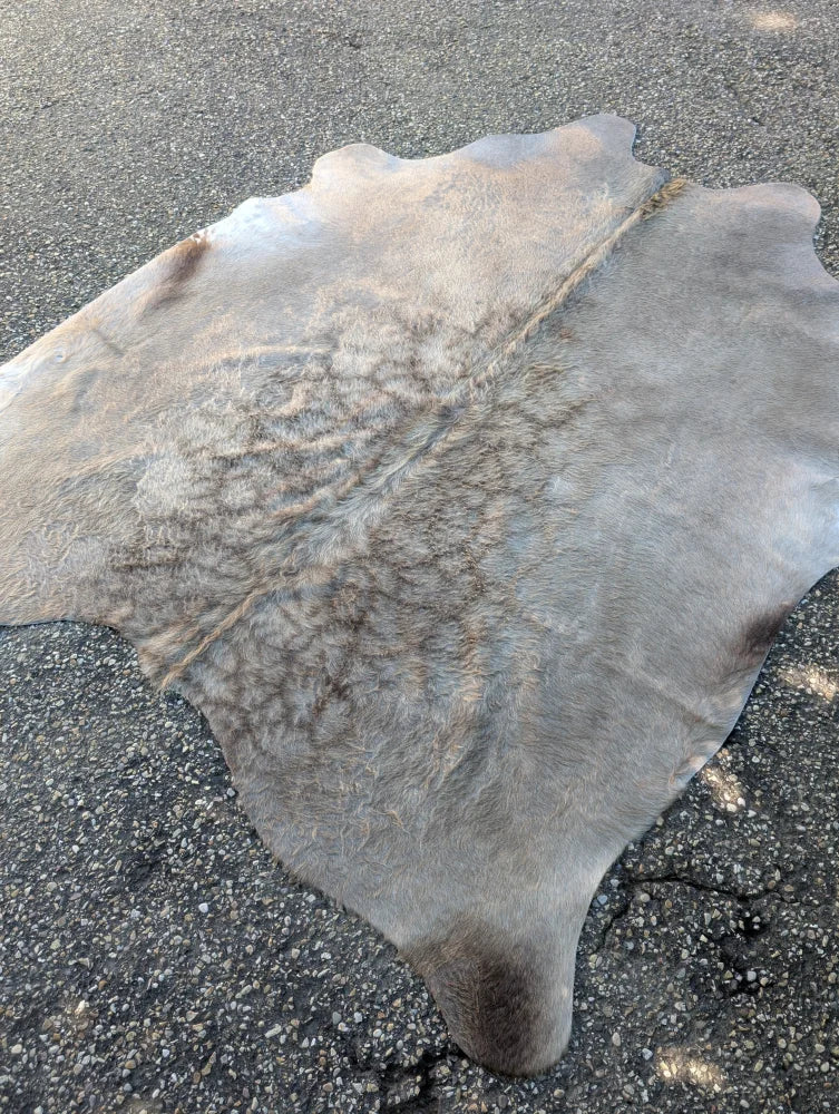 Large gray cowhide rug with soft textured surface and unique irregular edges perfect as a lovely cowhide rug