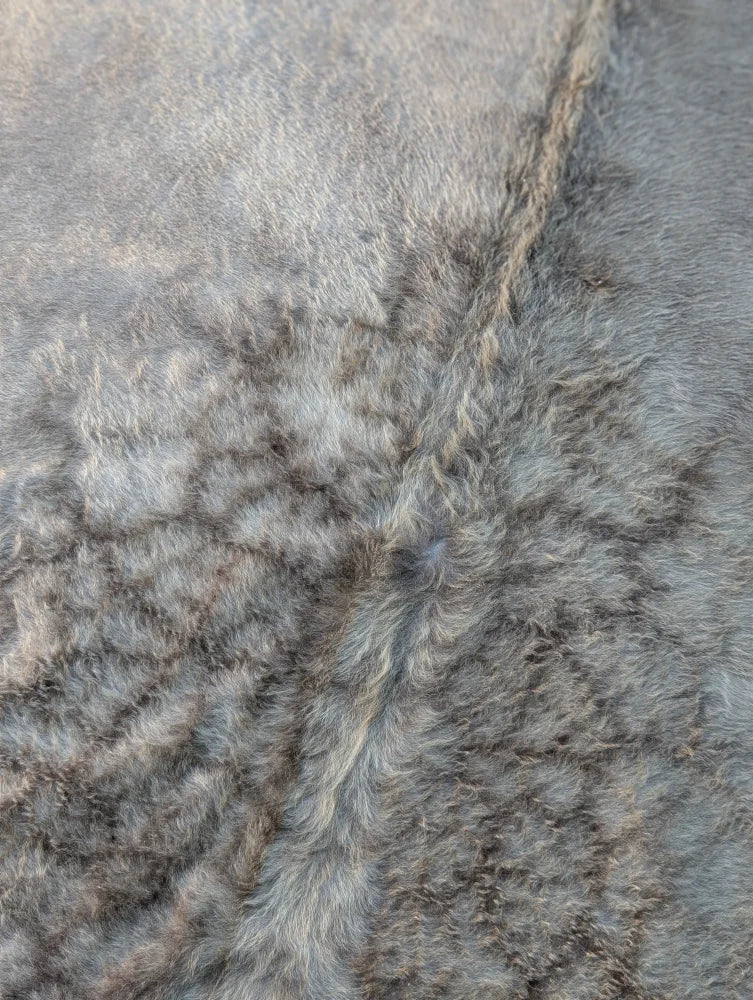 Sun4 lovely cowhide rug with large gray fluffy fur and unique characteristics featuring natural texture and shade variations
