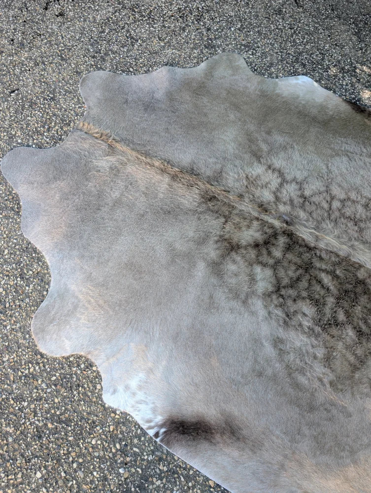 Sun4 78 x 64 gray large cowhide rug with lovely natural irregular edges and unique darker center markings
