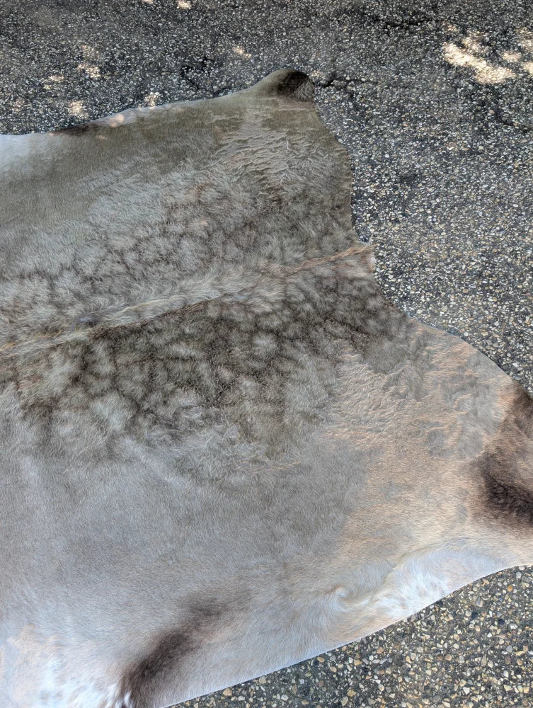 Sun4 78 x 64 lovely cowhide rug large cowhide with natural gray color and unique characteristics like subtle brown markings