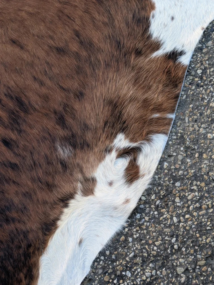 Sun5 73 x 64 large cowhide rug with brown and white natural fur texture showcasing unique characteristics