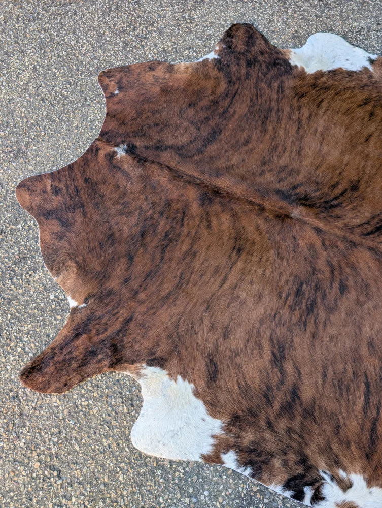 Large brown and white cowhide rug with natural fur texture featuring unique characteristics perfect as a lovely cowhide rug