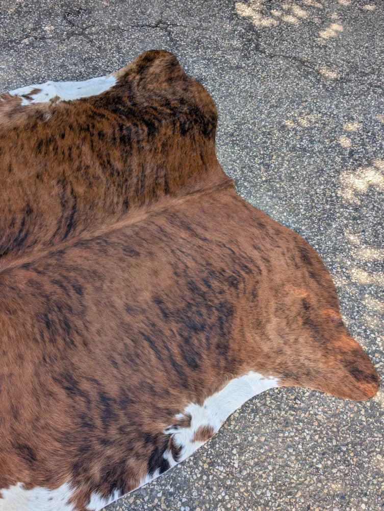 Large brown and white cowhide rug with natural fur texture featuring unique characteristics and lovely style design