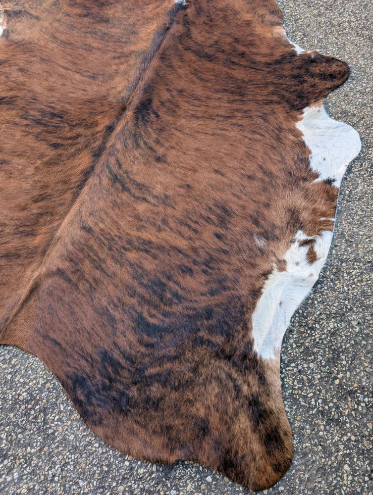 Sun5 73 x 64 lovely cowhide rug with natural brown and white fur texture showing unique characteristics