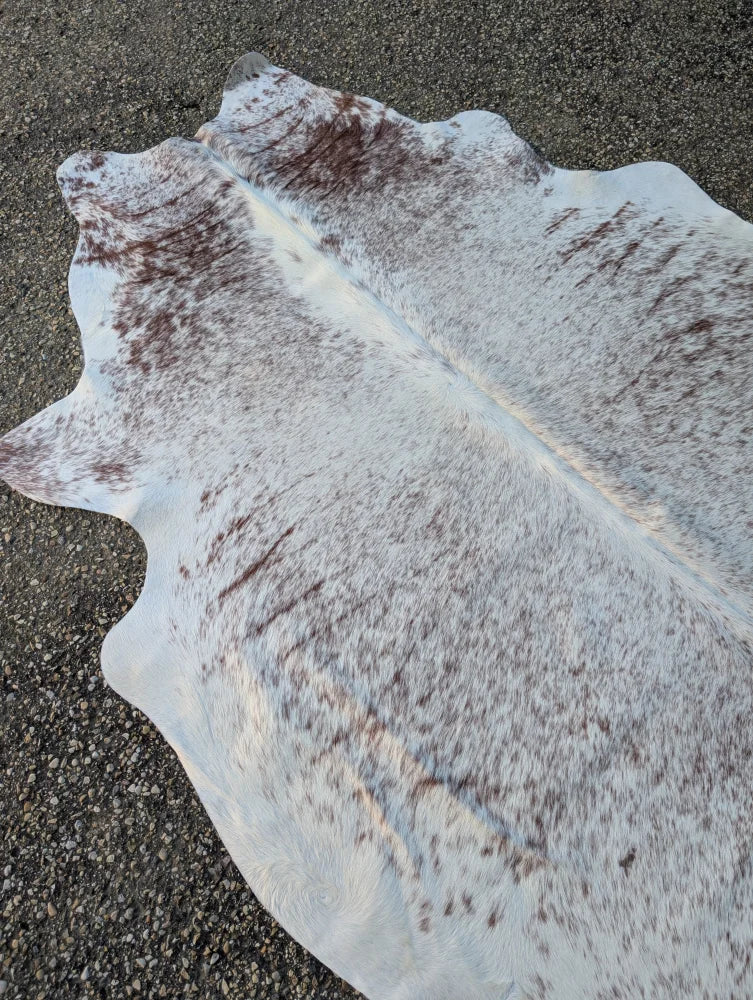 Large cowhide lovely cowhide rug 84 by 66 inches with white and brown spots and unique natural irregular edges