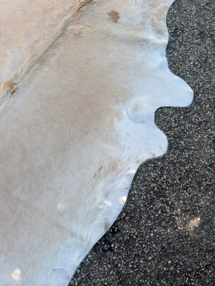 Large lovely cowhide rug sun7 86 x 64 with natural beige and white tones and unique characteristics in soft texture