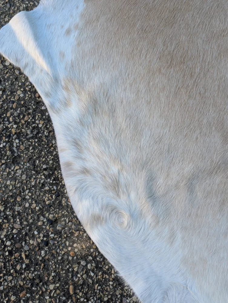 Sun7 86 x 64 large cowhide rug in soft light gray and white with unique characteristics and natural textured surface