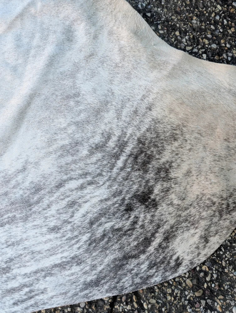 Sun8 75.5 x 66 lovely large gray and white speckled cowhide rug with unique characteristics and natural textured surface