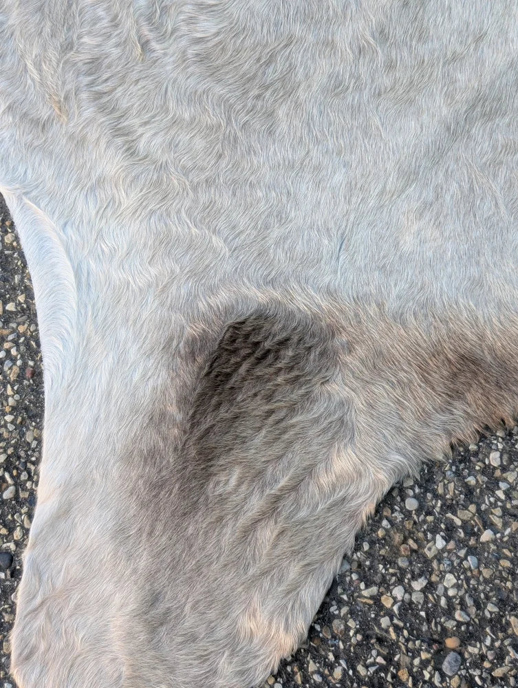 Soft light gray large cowhide with unique characteristics and subtle darker patches lovely cowhide rug 83 x 74 inches