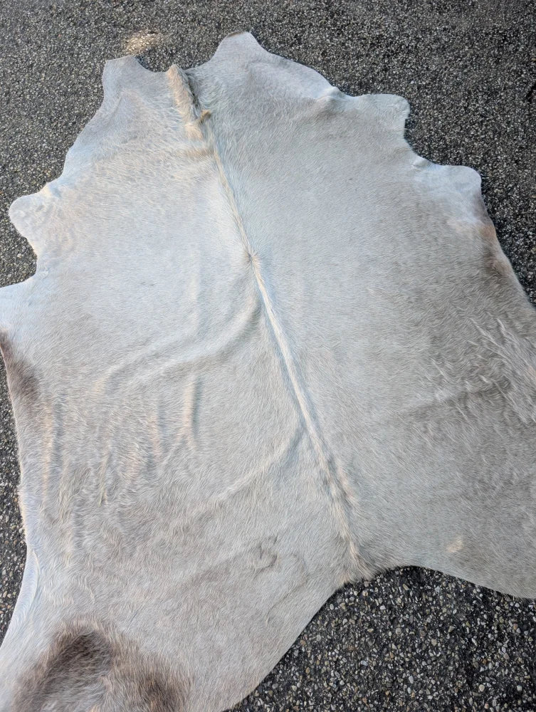 Sun9 83 x 74 large cowhide rug in light gray with natural fur texture and lovely unique characteristics and subtle patches