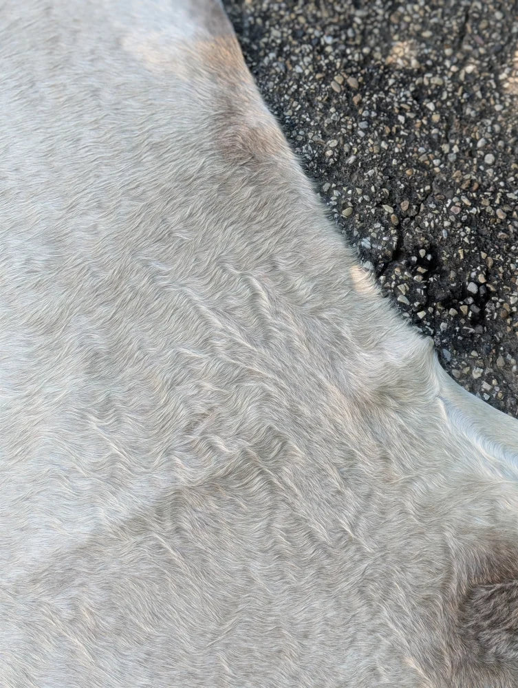 Soft light gray large cowhide rug with plush faux fur texture and unique characteristics by sun9