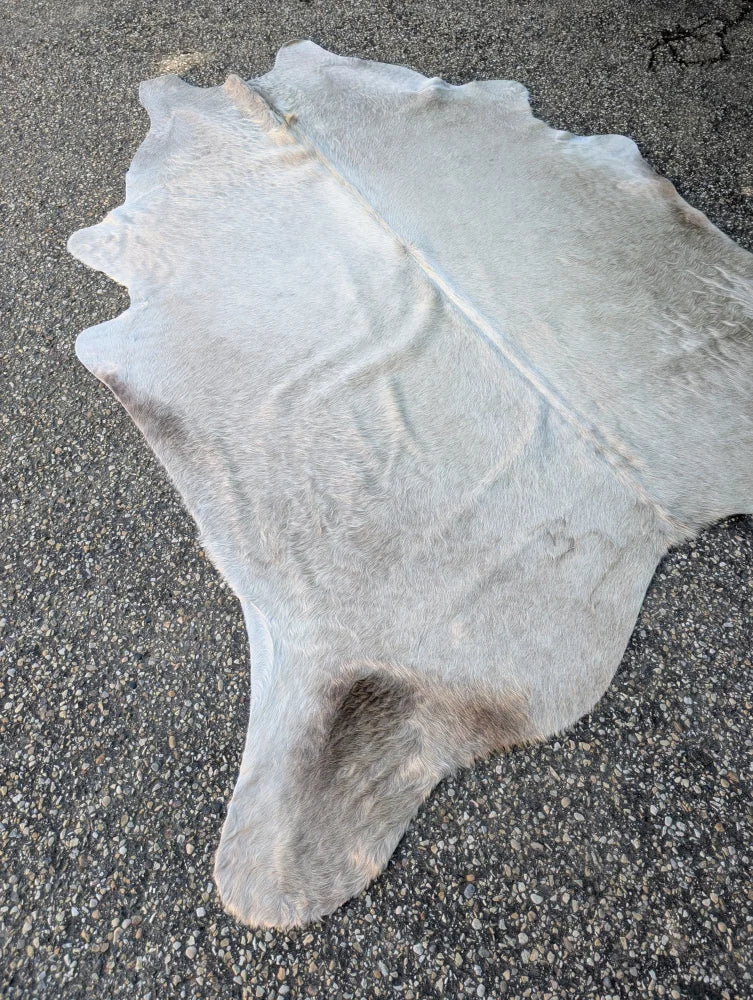 Sun9 large cowhide lovely cowhide rug in natural light gray with soft texture and unique characteristics