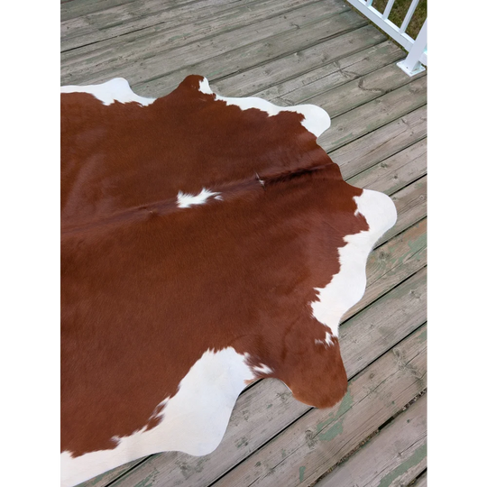 Large cowhide rug t13 80 x 68 with brown and white natural irregular edges showcasing unique characteristics