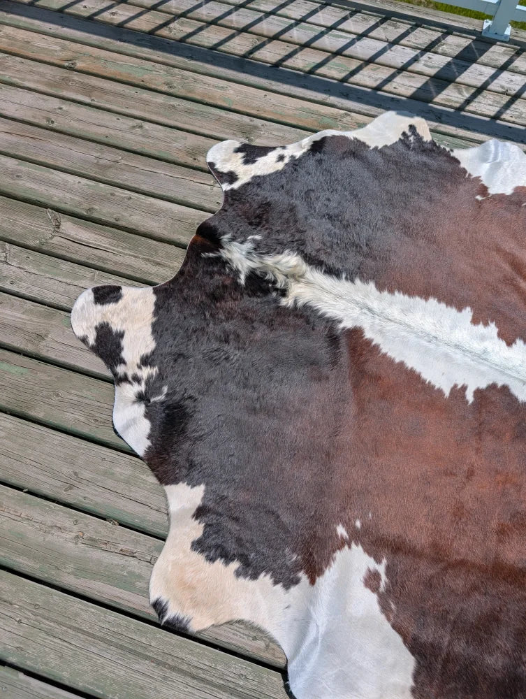 Large cowhide rug t15 74 x 65 with black white and brown spotted angus oliver pattern perfect for home decor
