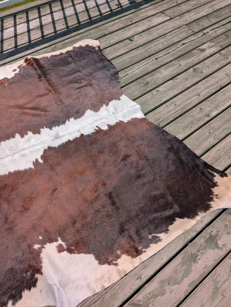 Large brown and white angus oliver cowhide rug with natural fur texture laid on wooden deck perfect for decor