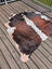 T15 74 x 65 large cowhide rug with a distinctive brown black and white patchwork by angus oliver