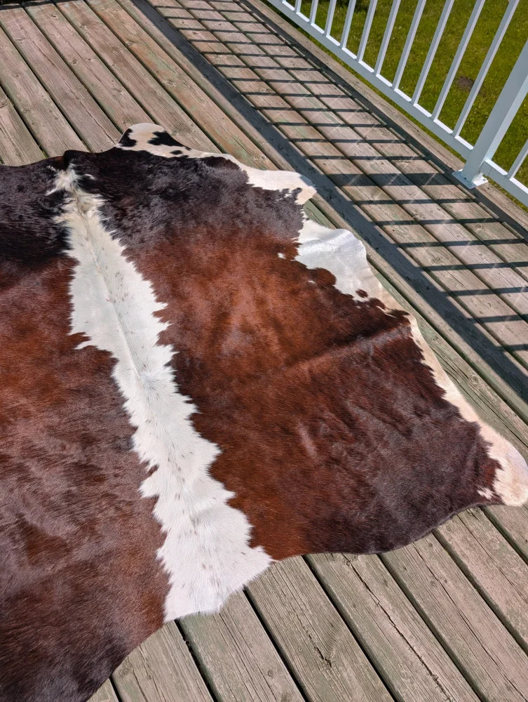 Large brown and white angus oliver cowhide rug with natural fur texture laid on a wooden deck perfect for indoor use