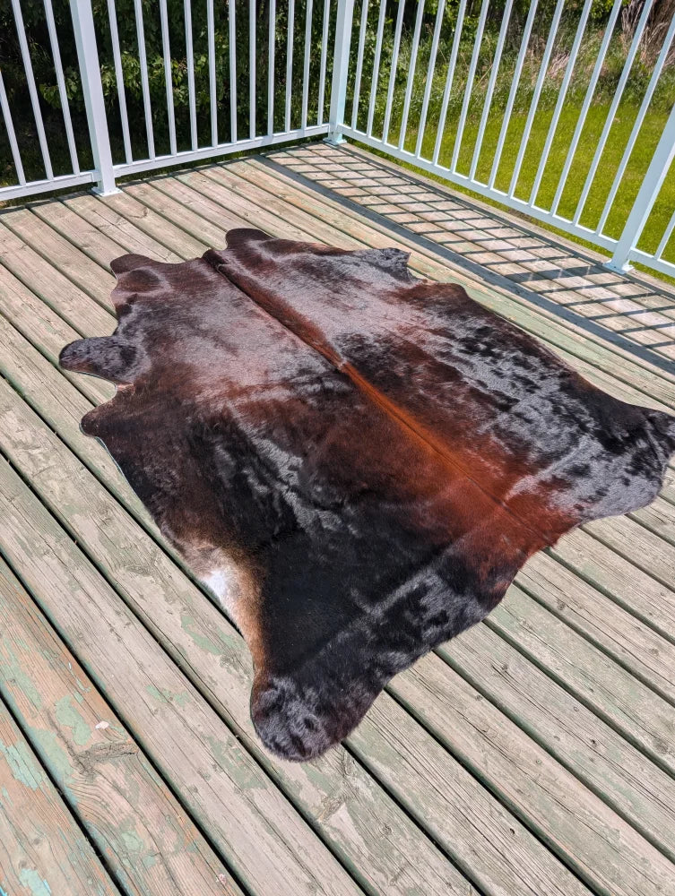 Large cowhide rug 78 x 64 with irregular shape and mottled dark brown black warm orange brown patches angus oliver