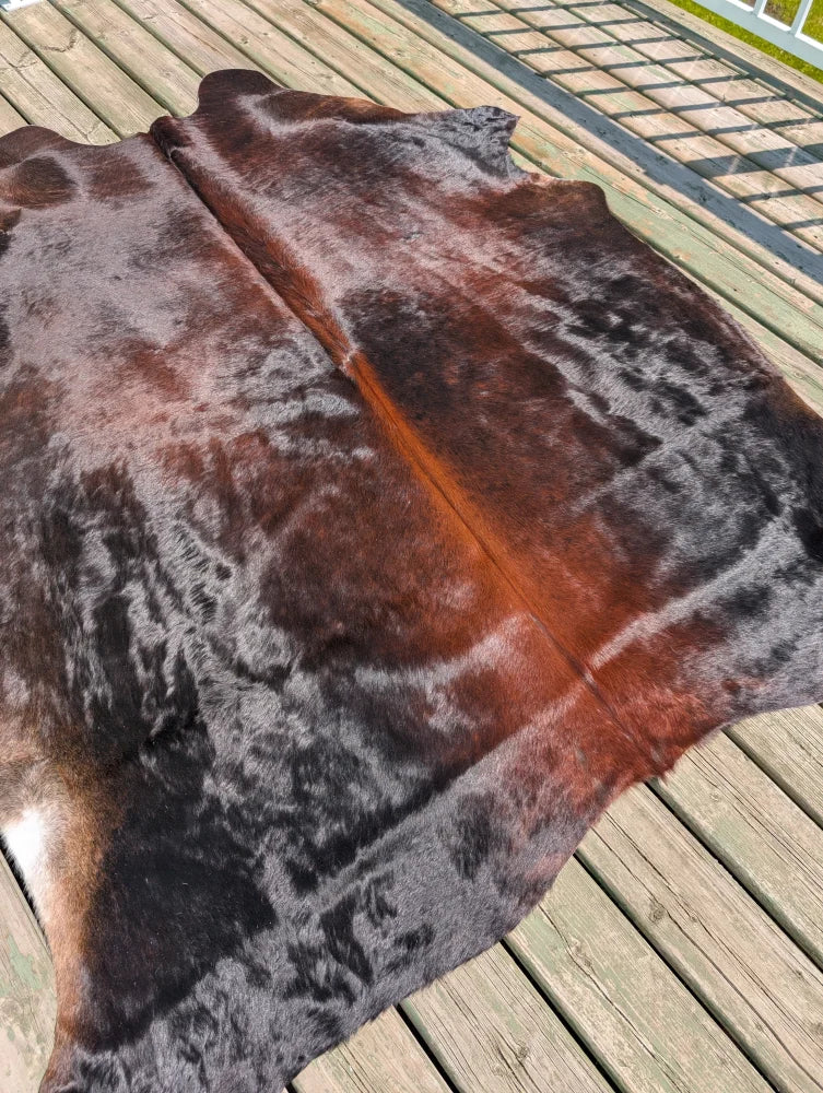 Large cowhide rug t16 78 x 64 with dark brown to reddish brown gradient and black patches by angus oliver