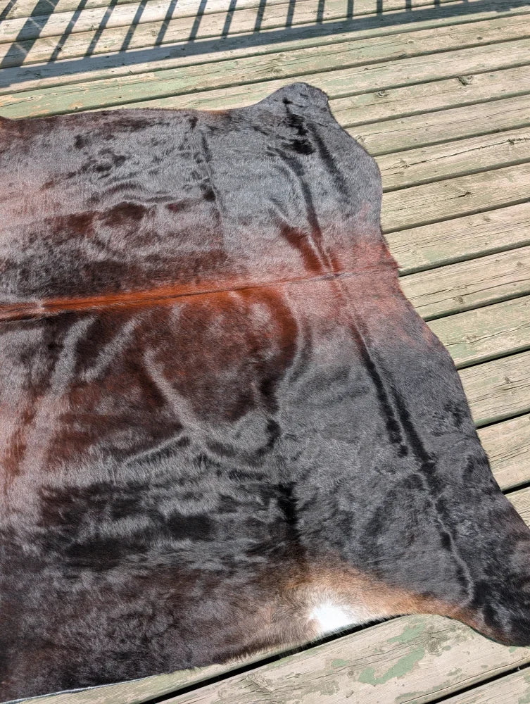 T16 78 x 64 large cowhide rug featuring natural irregular shape with dark brown to black and reddish angus oliver fur
