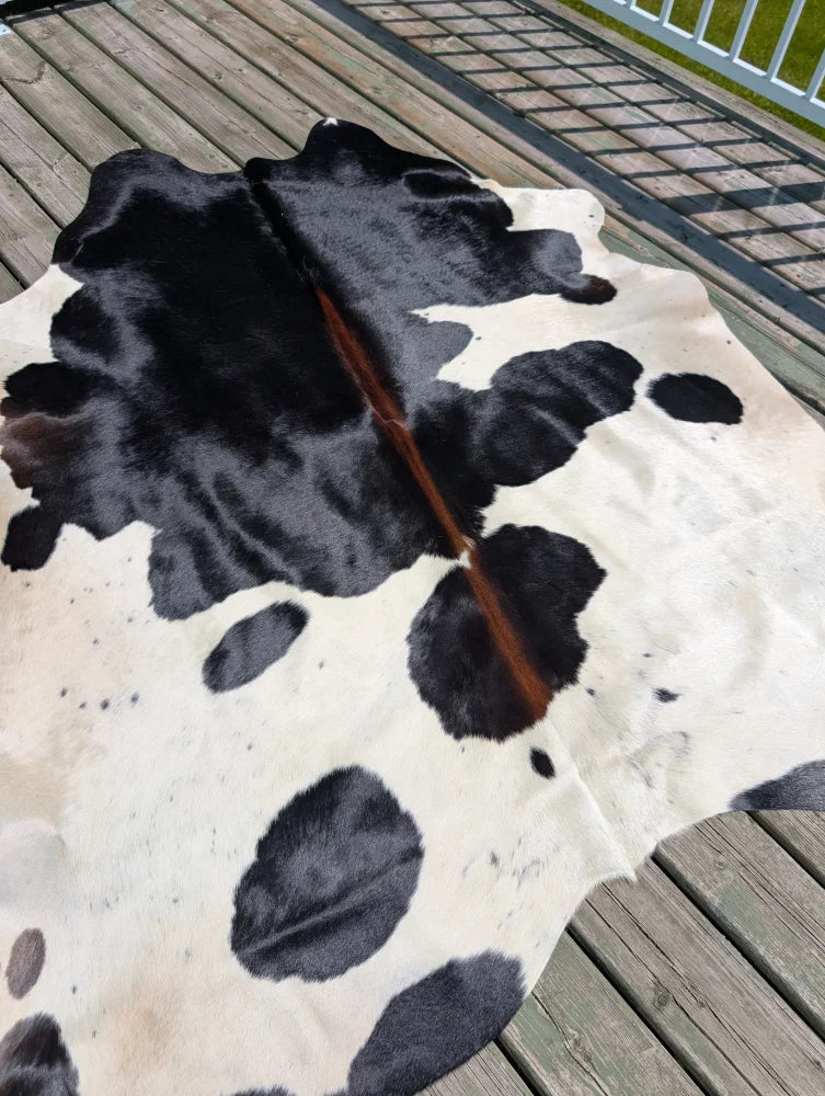 Large black and white cowhide rug with natural fur texture perfect for stylish home decor angus oliver
