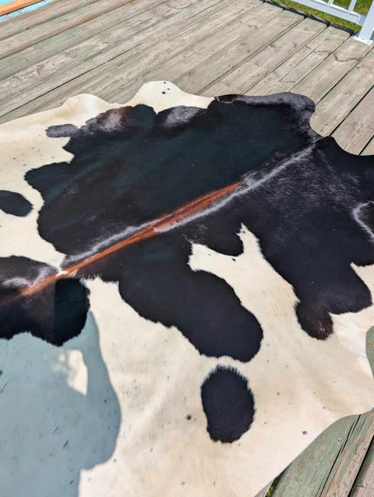 Large cowhide rug angus oliver with black and cream natural irregular pattern measuring 77 by 66 inches