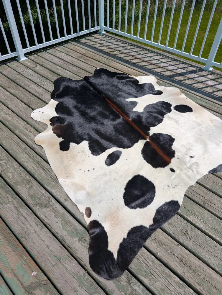 Black and white large cowhide rug with natural fur texture perfect for stylish home decor angus oliver t17