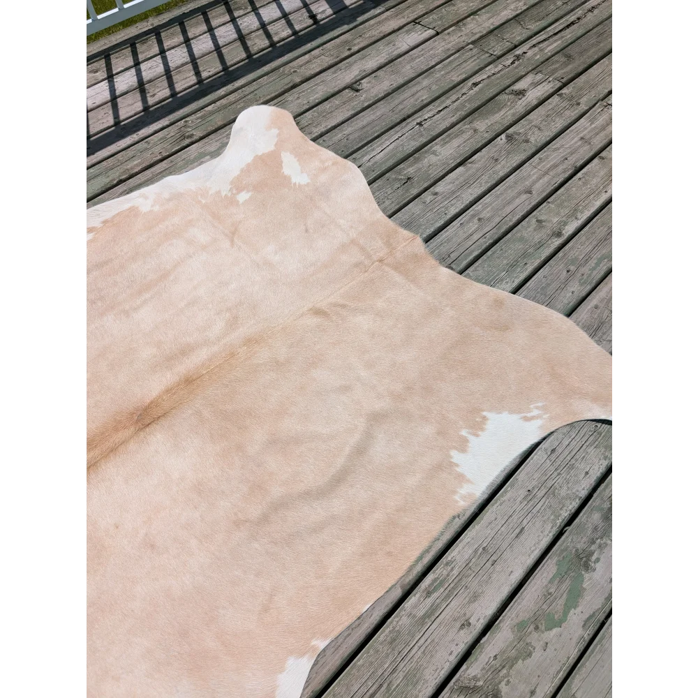 Tan and white large cowhide rug with natural pattern laid on weathered wooden planks angus oliver T18 77 x 63