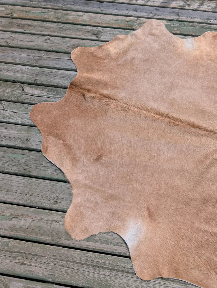 Tan large cowhide rug with natural fur texture and irregular edges perfect for angus oliver style decor