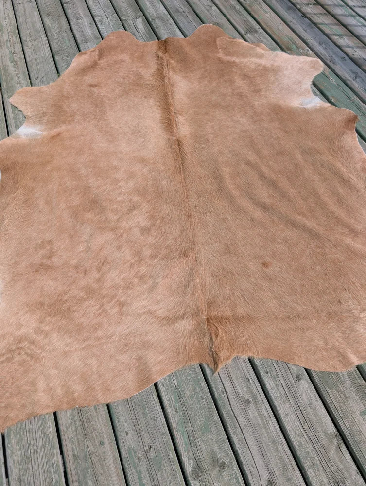 Tan large cowhide rug with natural texture and irregular edges angus oliver t19 78 x 64 gorgeous cowhide