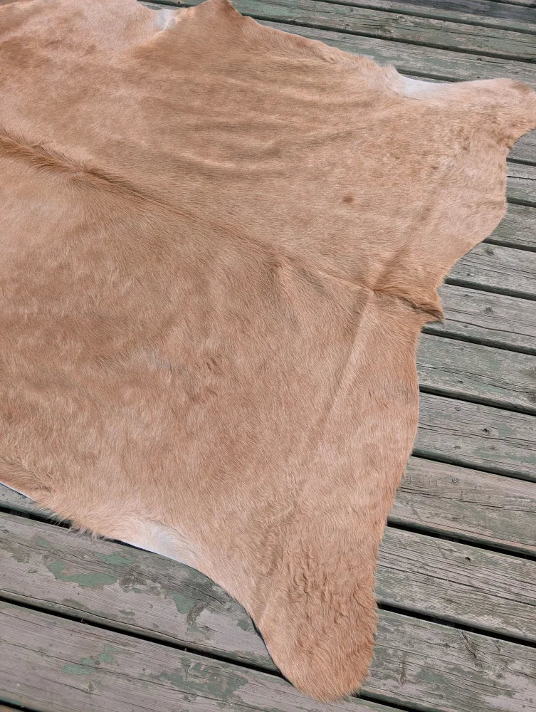 Tan large cowhide rug with natural fur texture and irregular edges from angus oliver t19 78 by 64 inches