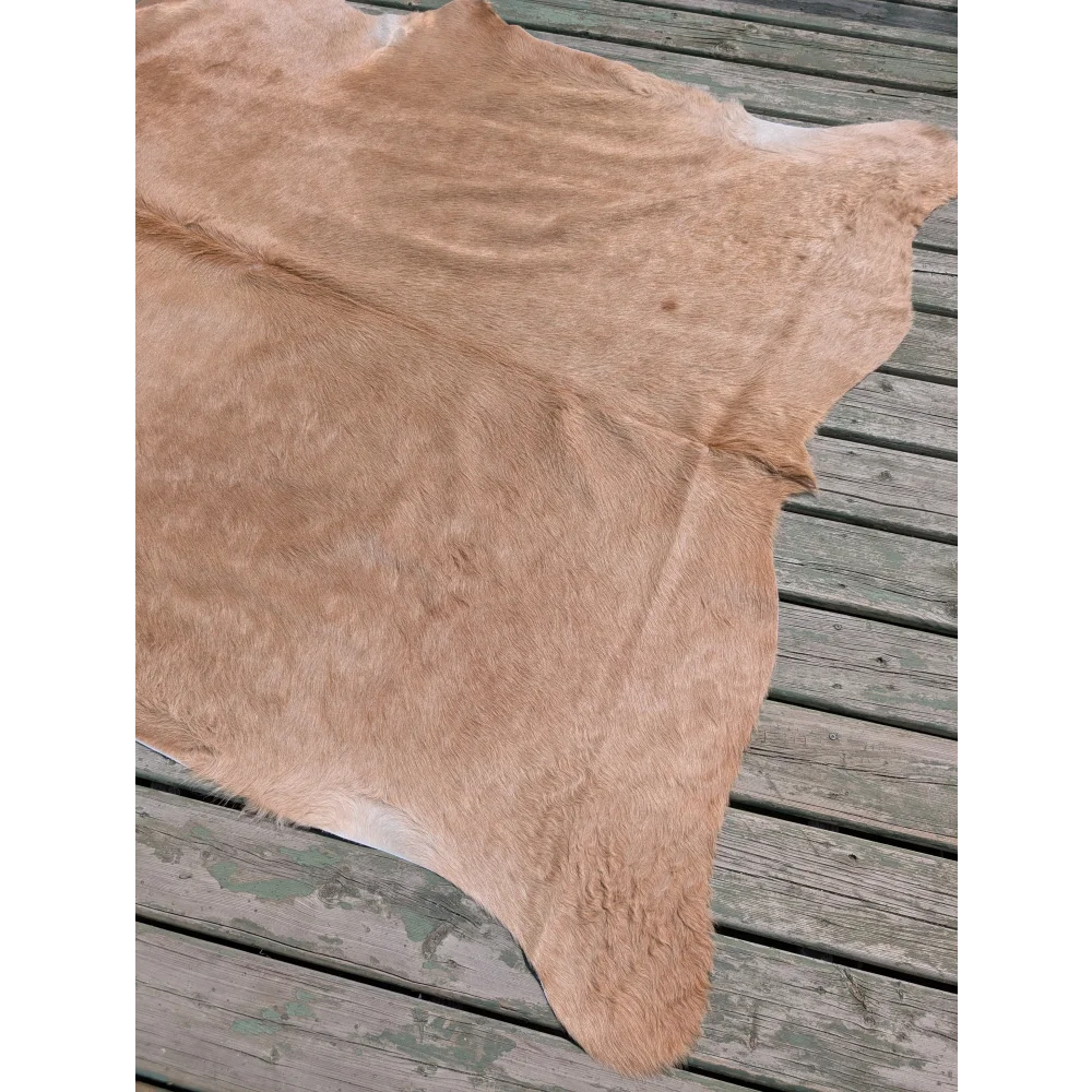 Tan large cowhide rug with natural fur texture and irregular edges from angus oliver t19 78 by 64 inches