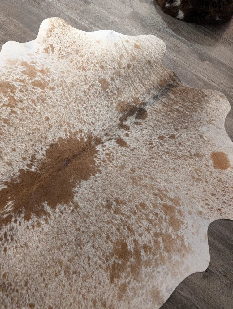 Large cowhide rug t21 72 x 62 inches with white and brown spotted pattern and scalloped edges by angus oliver