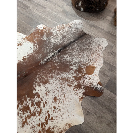 Large brown and white spotted cowhide rug with natural edges angus oliver t24 77 by 61 inches gorgeous cowhide