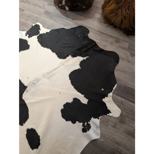 Large cowhide angus oliver cowhide rug with natural irregular black and white patches measuring 67.5 by 64 inches