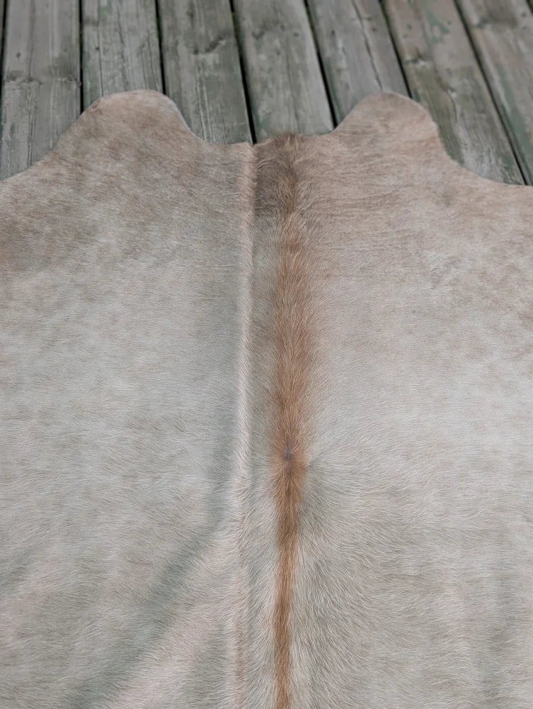 T#3 66.5 x 62 large cowhide rug with soft light gray fur and subtle brown stripe showcasing unique characteristics
