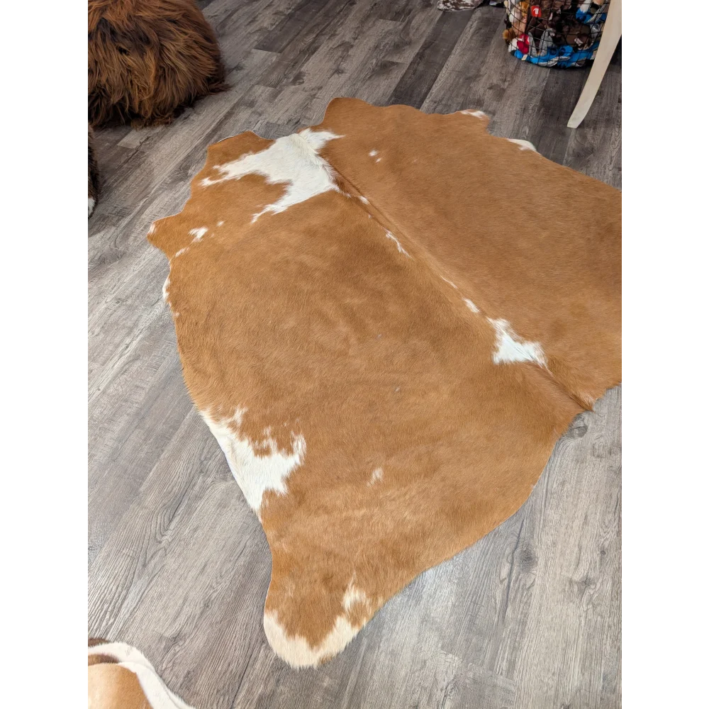 68 x 68 large cowhide rug with brown and white natural fur texture angus oliver t35 gorgeous cowhide