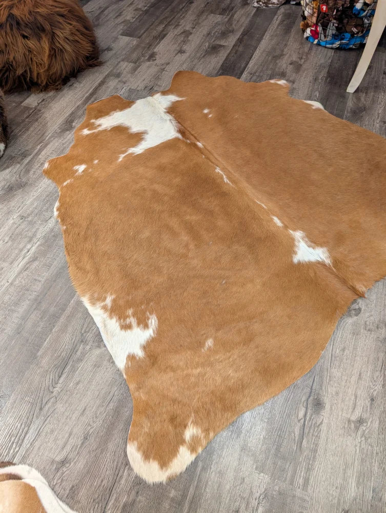 68 x 68 large cowhide rug with brown and white natural fur texture angus oliver t35 gorgeous cowhide