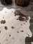 Large cowhide rug t37 74 x 67 with white base and brown patches featuring an organic asymmetrical shape by angus oliver