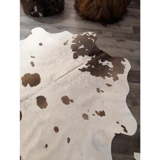 Large cowhide rug t37 74 x 67 with white base and brown patches featuring an organic asymmetrical shape by angus oliver