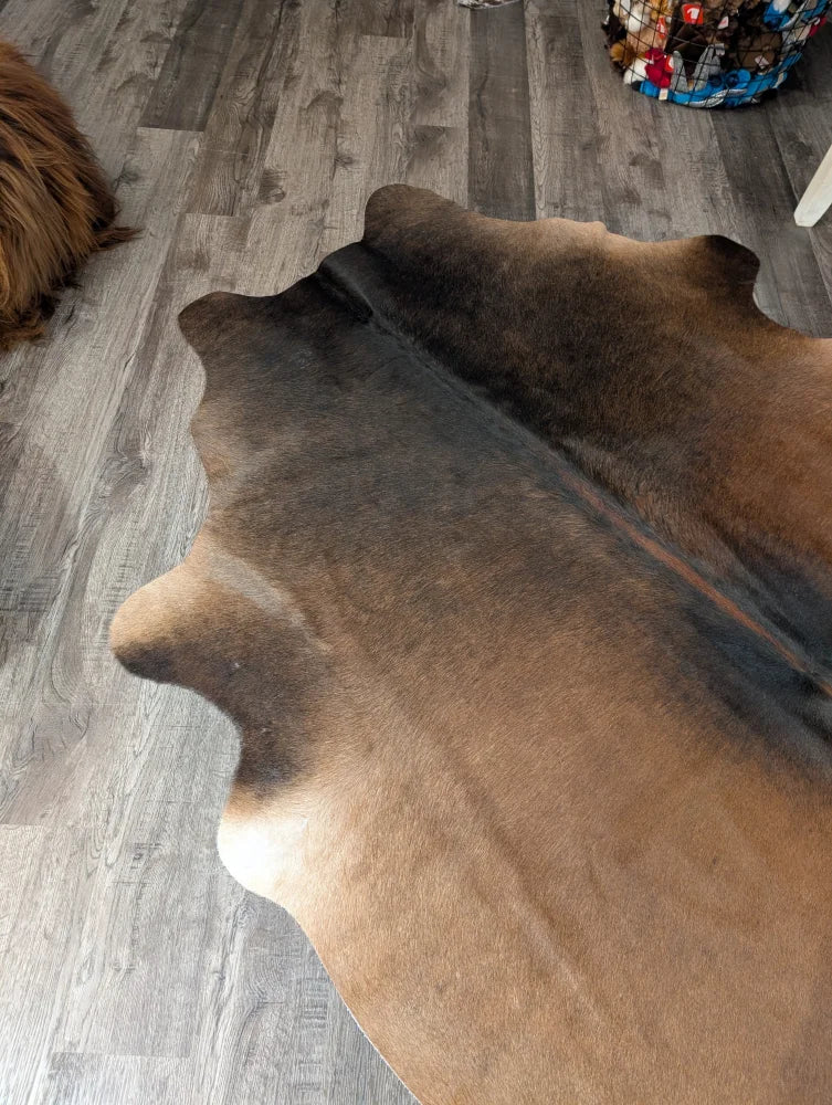 Large brown and black angus oliver cowhide rug with natural irregular edges perfect for stylish spaces