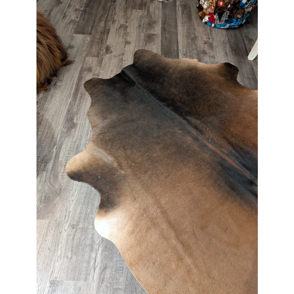 Large brown and black angus oliver cowhide rug with natural irregular edges perfect for stylish spaces